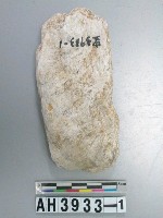 藏品(中型磨製玉錛殘件)的圖片